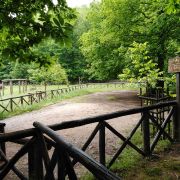 foto_20