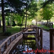 foto_3